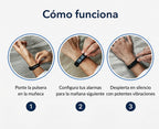 Alarma vibradora